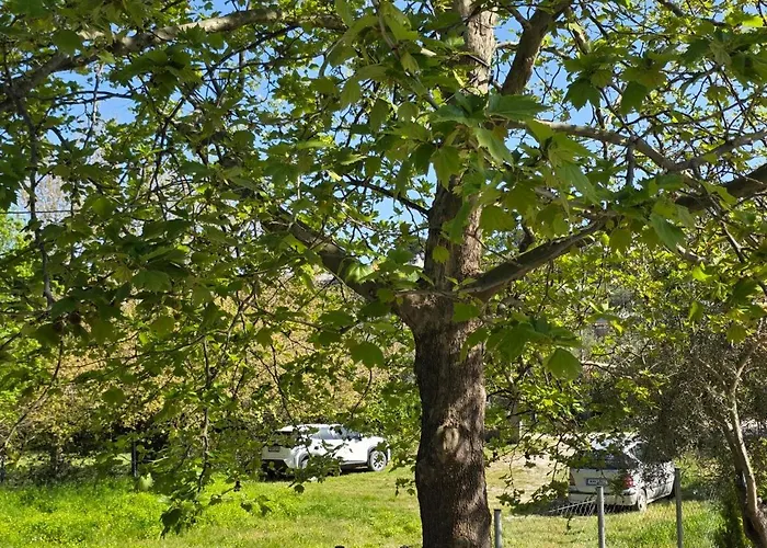 Panagia Ormos Panagias