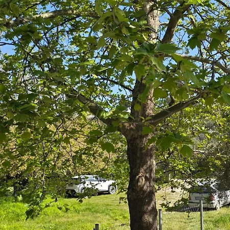 Panagia 오르모스 파나기아스